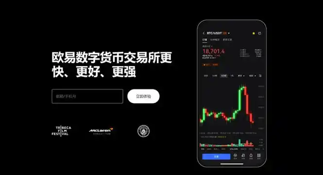 C币pay交易平台平台展示图